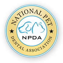 National Pet Dental Association